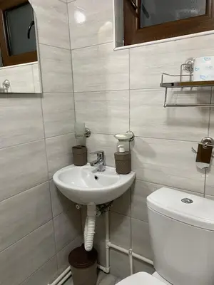 a bathroom with a sink and a toilet at Vila KTM Lisine in Despotovac