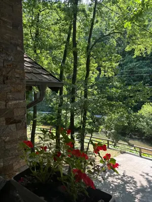 a garden with red flowers in a pot at Vila KTM Lisine in Despotovac
