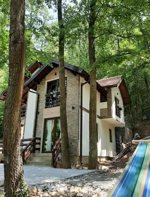 a house in the woods with a pool at Vila KTM Lisine in Despotovac
