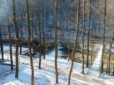 a group of trees in the snow next to a river at Vila KTM Lisine in Despotovac