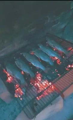 a group of fish are cooking on a grill at Vila KTM Lisine in Despotovac