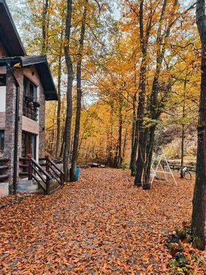 a road covered in leaves next to a house at Vila KTM Lisine in Despotovac