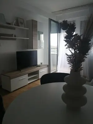 a living room with a table with a plant in a vase at Apartmani Sunlight in Vrnjačka Banja