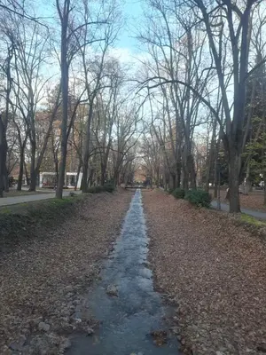 a long road in a park with trees at Apartmani Sunlight in Vrnjačka Banja