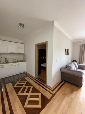 a living room with a couch and a kitchen at Apartman AS in Vrnjačka Banja