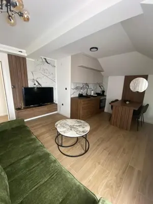 a living room with a green couch and a table at Apartmani Lazarevic Jagodina in Jagodina