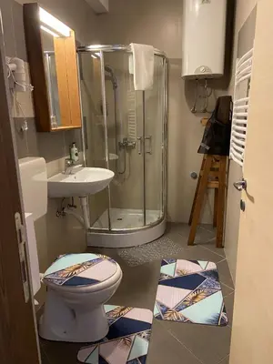 a bathroom with a shower and a toilet and a sink at Mountain Story in Brzeće