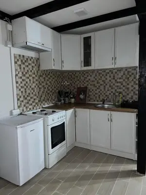 a kitchen with white cabinets and a sink at Zavojsko jezero - Vila Jezero in Pirot