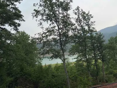 a view of a lake through the trees at Zavojsko jezero - Vila Jezero in Pirot