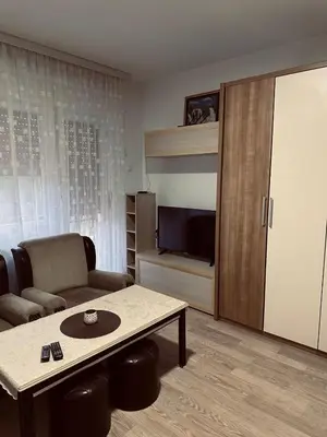 a living room with a couch and a table at Privatni smestaj - Grujic in Bujanovac