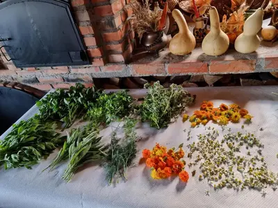 a table topped with vegetables on top of a table at Country House Sunčev breg in Bara Slatina