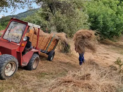 a person pulling a load of hay from a tractor at Country House Sunčev breg in Bara Slatina
