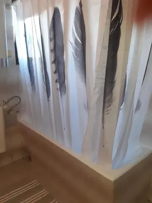 a group of feathers sticking out of a shower curtain at Apartman Ljiljan in Niš