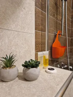 two plants sitting on a counter in a bathroom at Apartman Sky Milmari L20 in Kopaonik