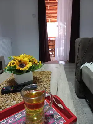 a cup of tea on a table in a living room at Konak Jerma-Kanjon Jerme Pirot in Pirot