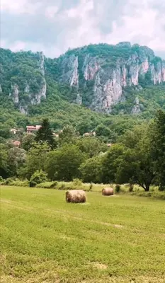two animals grazing in a field in front of a mountain at Konak Jerma-Kanjon Jerme Pirot in Pirot