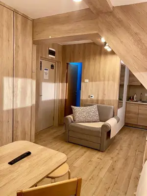 a living room with a couch and a table at NevSki Apartments in Kopaonik