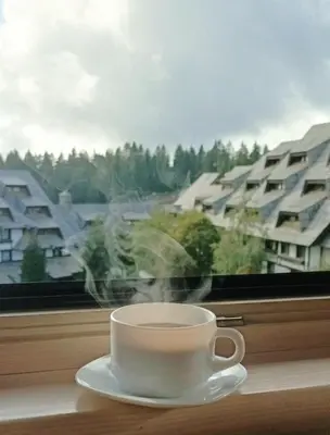 a cup of coffee sitting on a window sill at NevSki Apartments in Kopaonik