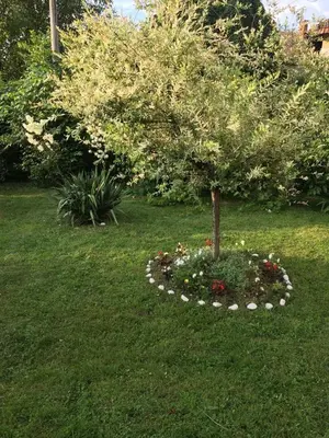 a tree in a circle of flowers in a garden at Apartman i sobe Milica Vrnjacka Banja in Vrnjci