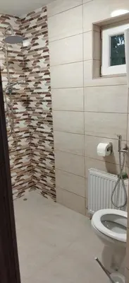 a bathroom with a shower and a toilet at Irina in Soko Banja