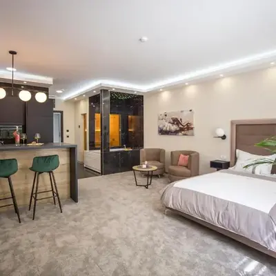 VS Exclusive Luxury Wellness & Spa Apartmani - Vrnjačka Banja
