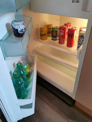 an open refrigerator filled with lots of soda cans at Apartman Stanimirović in Zaječar