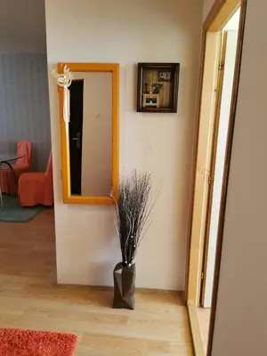 a hallway with a vase with a plant in it at Apartman Stanimirović in Zaječar