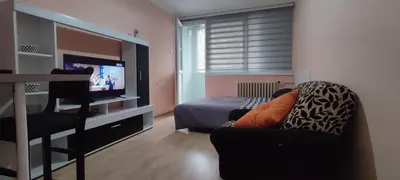 a living room with a bed and a couch and a television at Stan na dan Bor in Bor