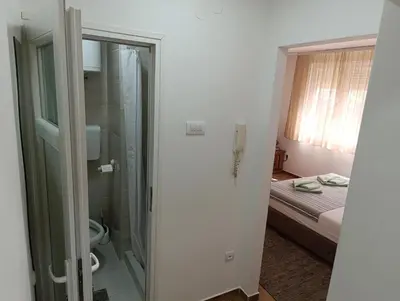 a bathroom with a shower and a toilet in a room at Nikolic apartment in Niš