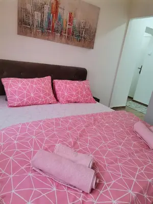 a pink bed with two pink pillows on it at Nikolic apartment in Niš