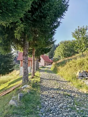 a gravel road with trees and houses in the background at Vikendica Čeperković #1 in Kopaonik