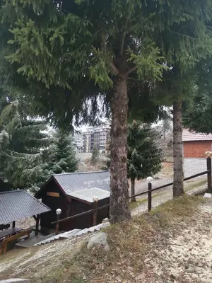 two trees in front of a fence with a building at Vikendica Čeperković #2 in Kopaonik