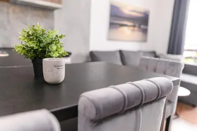 a black table with a potted plant on top of it at Apartmani ZAT in Soko Banja