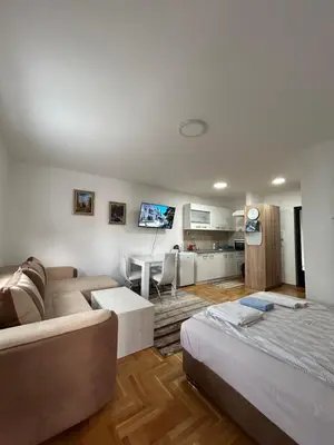 a living room with a couch and a table at Apartmani Central 8 & Free parking in Vrnjačka Banja