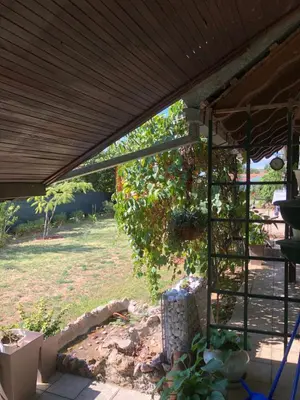 a view of a garden from under a porch at Kuca za odmor Davidovic in Despotovac