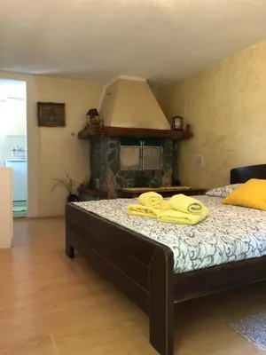 a bedroom with a bed with a fireplace at Kuca za odmor Davidovic in Despotovac