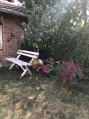 a wooden bench sitting in front of a house with flowers at Kuca za odmor Davidovic in Despotovac