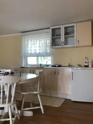 a kitchen with a table and chairs and a white refrigerator at Kuca za odmor Davidovic in Despotovac