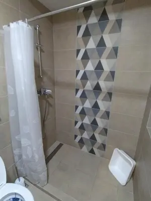 a bathroom with a shower with a toilet at Apartman Tara Jagodina, ima free parking u garazi in Jagodina