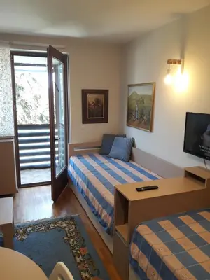 a bedroom with a bed and a desk and a tv at VILA BJANKA 205 in Kopaonik