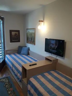 a bedroom with a bed and a flat screen tv at VILA BJANKA 205 in Kopaonik