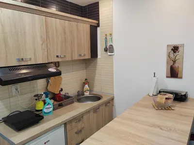 a kitchen with a sink and a counter top at Apartman Popadić-Goč in Biserske Kuće