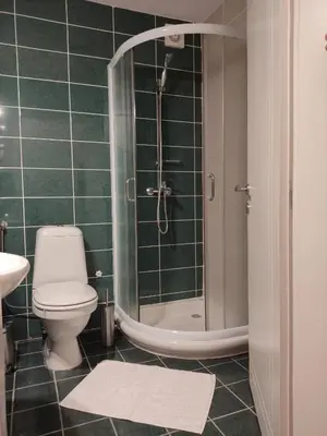 a bathroom with a shower and a toilet and a sink at Magic Dream Lux apartman in Vrnjačka Banja