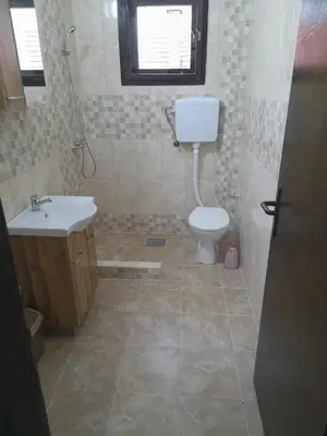 a bathroom with a toilet and a sink at Beli Ocnjak in Soko Banja