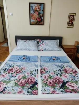 a bed with a floral bedspread on it at Apartment Fenix in Niš