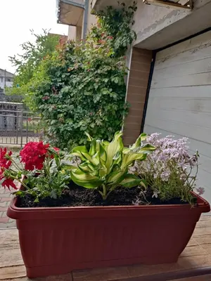 a large flower pot with flowers and plants in it at Apartment Fenix in Niš