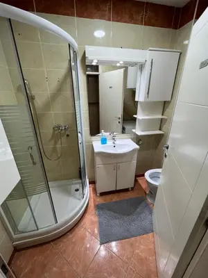 a bathroom with a shower and a sink and a toilet at SAD Apartman in Niš