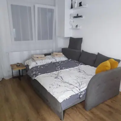 a bedroom with a bed and a couch in a room at VIP Apartment in Jagodina