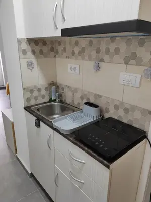 a small kitchen with a stove and a sink at Apartman Iris in Vrnjačka Banja