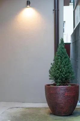 a small pine tree in a pot next to a wall at JEDRO - Apartman sa garažnim parkingom in Vrnjačka Banja